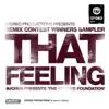 The Groove Foundation - That Feeling (Wow & Flute Remix)