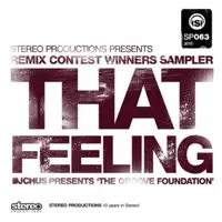 That Feeling (Wow & Flute Remix) — The Groove Foundation