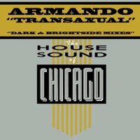 Transaxual - Armando