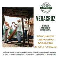 La Bamba — Conjunto Jarocho Medellin De Lino Chavez
