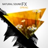Natural Sounds
