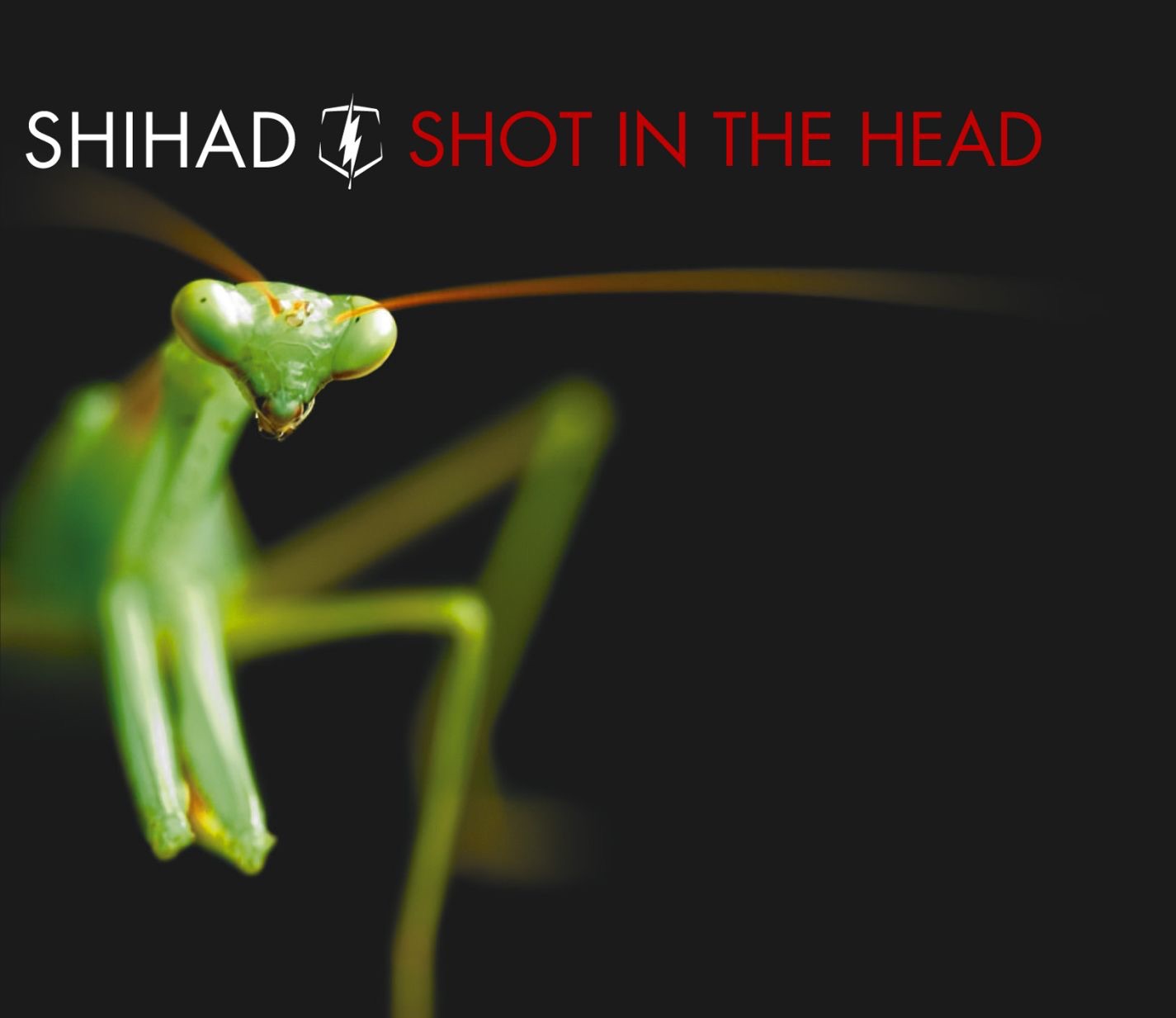 Shot In the Head - EP