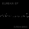 Eureka Birds - There Was Light