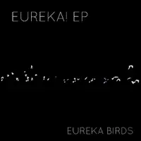 There Was Light — Eureka Birds