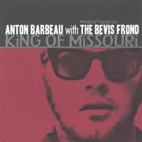 Maybe — The Bevis Frond