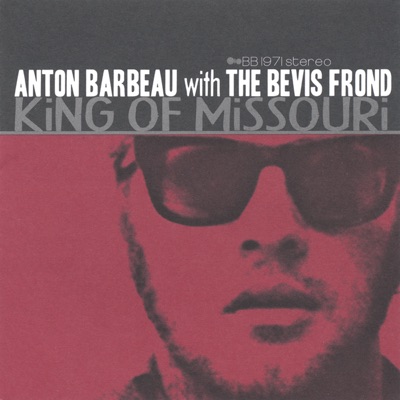 Anton Barbeau with The Bevis Frond