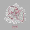 UNAI - I Like Your Style (Original Mix)