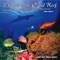 Exploring the Coral Reef - John Grout lyrics