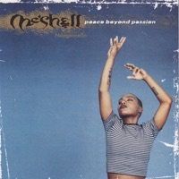 Meshell Ndegeocello - The Way