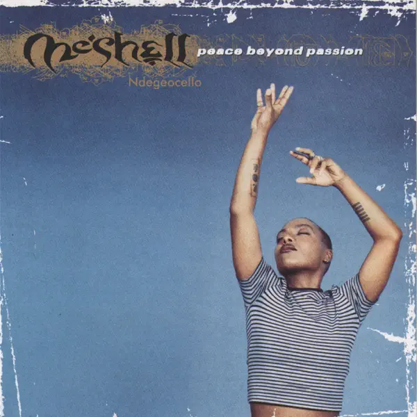 The Way — Meshell Ndegeocello