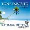 Tony Esposito - Kalimba de Luna