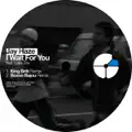 I Wait for You (Boozoo Bajou Remix)