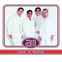 Like a Rose - EP - A1