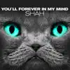 Shah - You'll Forever In My Mind
