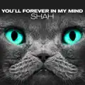 You'll Forever In My Mind