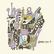 9 - Damien Rice
