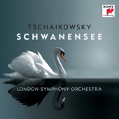 Swan Lake, Op. 20: Act II: 10. Scène: Moderato; Piu mosso artwork