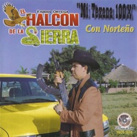 Mi Texana 100X - El Halcon de la Sierra