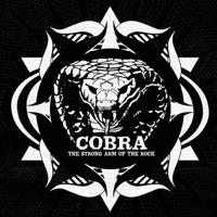 Album cover for Miyagi by COBRA