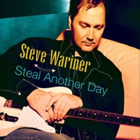Steve Wariner - Some Fools Never Learn