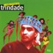 Tristeza Pra Tumba - Trindade lyrics