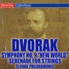 ORF Symphony - Serenade for String Orchestra In e Major, Op. 22: IV. Larghetto