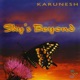 Sky s Beyond