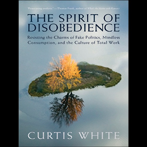 The Spirit of Disobedience: Politics, Consumption, and the Culture of Total Work (Unabridged) cover