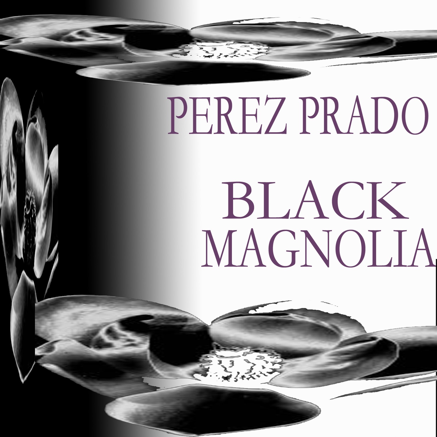 Black Magnolia