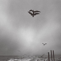 Saunter - Chihei Hatakeyama