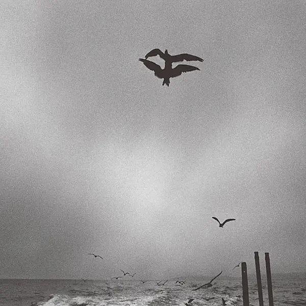 Treads Echoing Far Away from Sea Coast — Chihei Hatakeyama