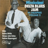 Bukka White - Columbus Mississippi Blues