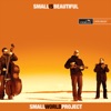 Small is Beautiful, 2008