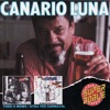 Canario Luna - Celeste