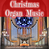 Cover art for Christmas Organ Music (Essential Collection of Church Pipe Music) by Holy Organ Christian Ensemble