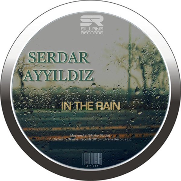 Cover of In The Rain