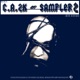 Sampler 2 Single