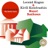 Violin Concerto in D Major, Op. 61: II. Larghetto - III. Rondo - Allegro