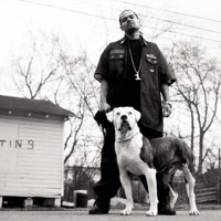 Say It to My Face - Single (feat. Swizz Beatz) - Boo