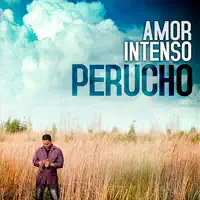 VEO EL CIELO EN TI — PERUCHO