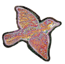 Climb to Safety by Widespread Panic — cover art