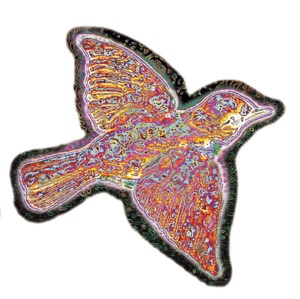 Chord Gitar Blue Indian - Widespread Panic