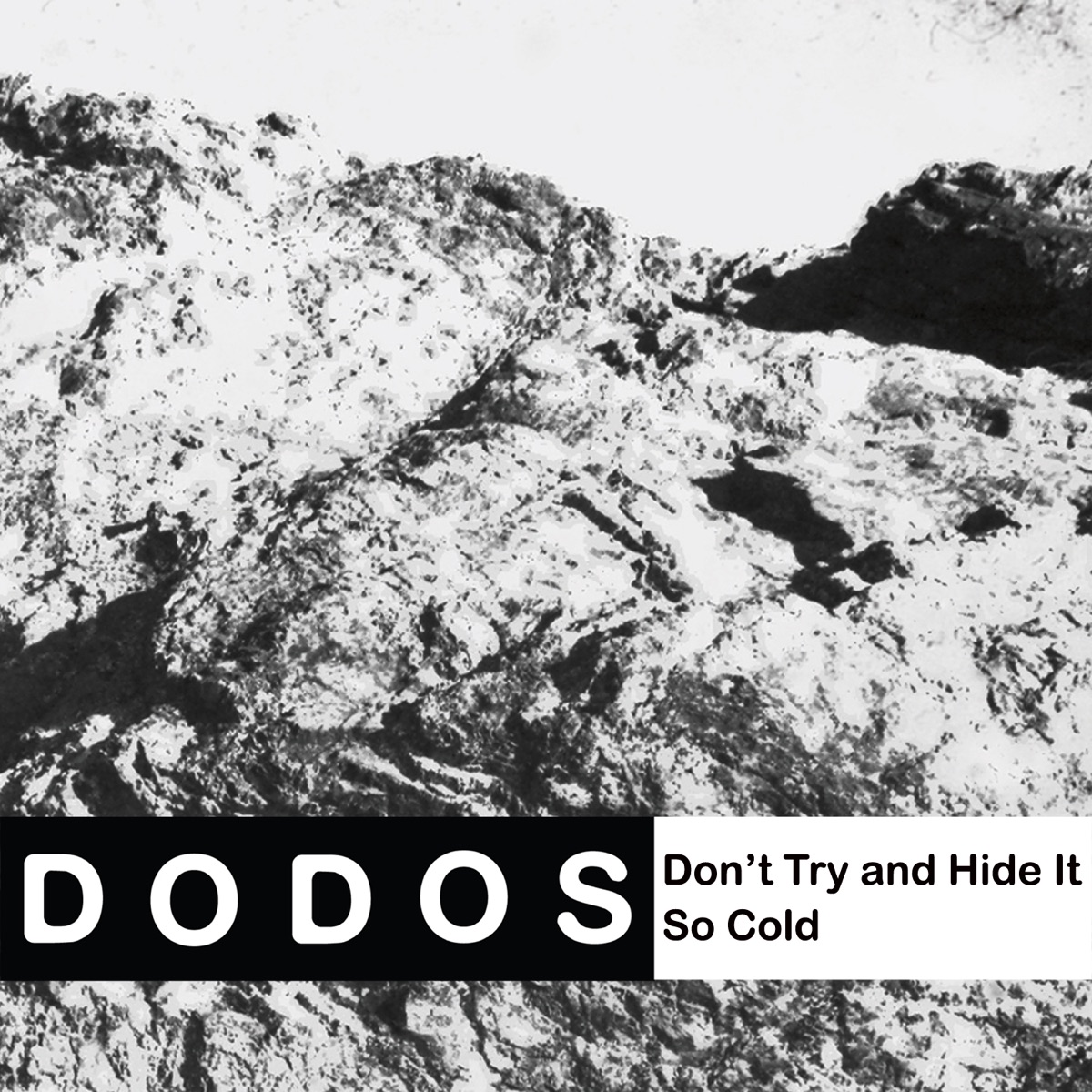 Don't Try and Hide It cover