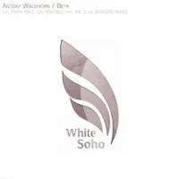 Beta — Antony Waldhorn