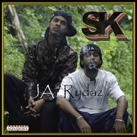 No Place (feat. Stevie Culture, Drumpan, Ras Slick) Soundkillaz