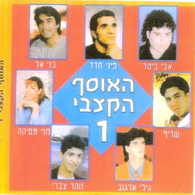 פיני חדד Pini Hadah - את לא לבד At Lo Levad