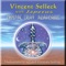 Discourse - Vincent Selleck & Vincent Selleck & Japetus lyrics