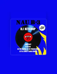 DJ Ketchupを聴いたり、ミュージックビデオを鑑賞したり、経歴やツアー日程などを確認したりしましょう！