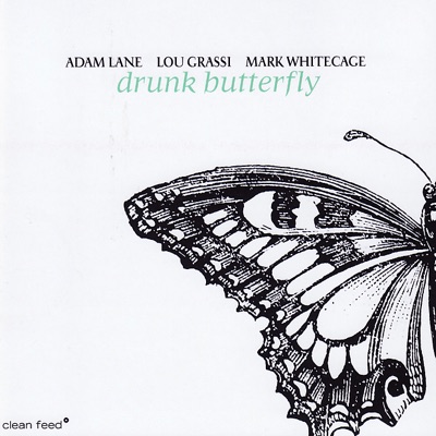 Drunk Butterfly
