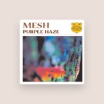 Mesh